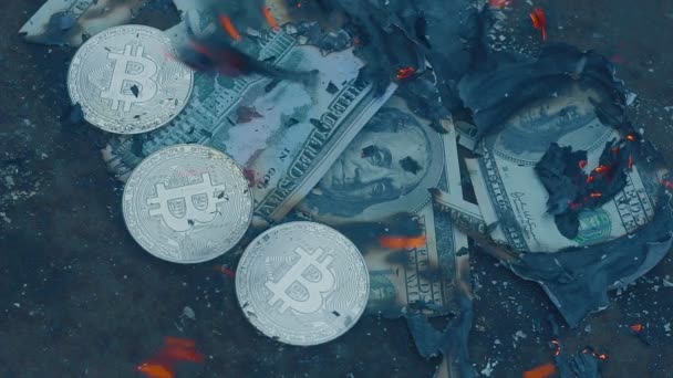 Quemando dólares. Bitcoin no quema — Vídeos de Stock