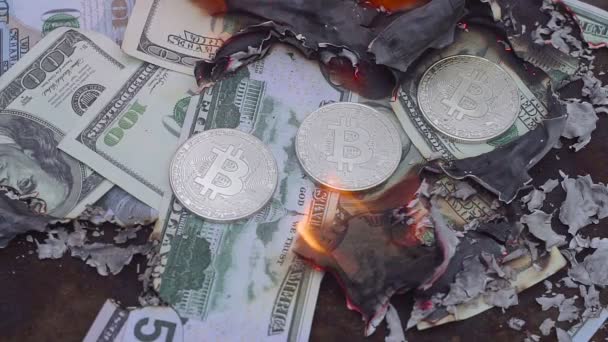 달러를 레코딩. Bitcoin 레코딩하지 않습니다. — 비디오
