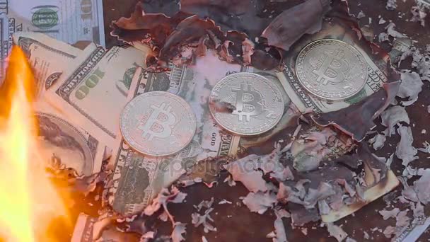 Yanan dolar. Bitcoin yakma — Stok video