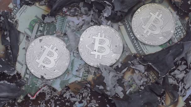 Burning dollars. Bitcoin does not burn — Stock Video