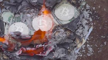 yanan dolar. Bitcoin yakma