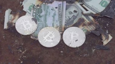 yanan dolar. Bitcoin yakma