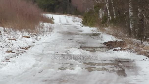 Våren snön smälter på vägen — Stockvideo