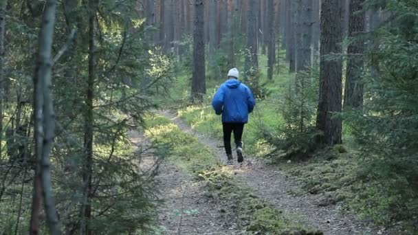Oude man loopt buiten in een naaldhout bos. — Stockvideo