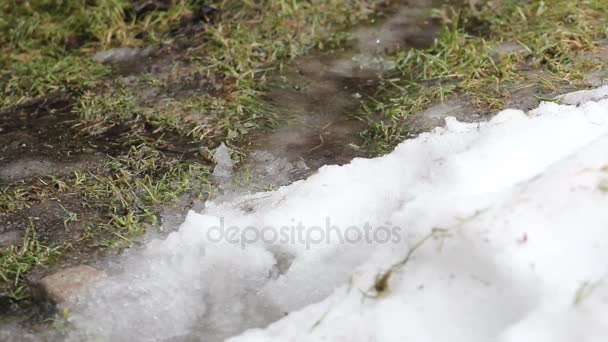 Frühling. Schnee schmilzt — Stockvideo