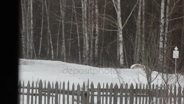 Vista desde la ventana del bosque de nieve — Vídeos de Stock