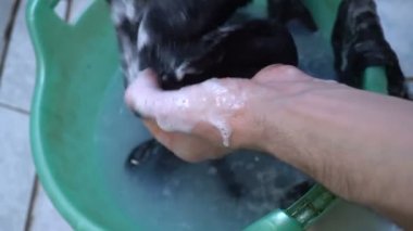 Closeup çorap havzasında el yıkama. mens personel, çorap yıkama. Yalnız ve mutsuz men kavramı