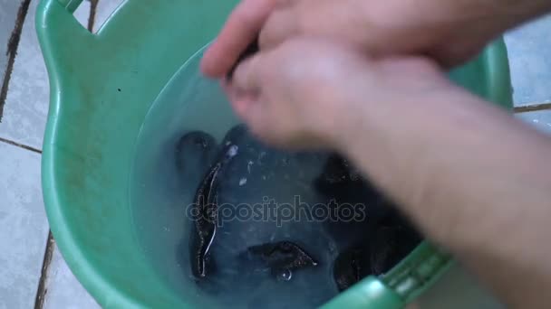 Closeup washing sock in basin by hand. mens hands, washing socks. concept of lonely men — Stock Video