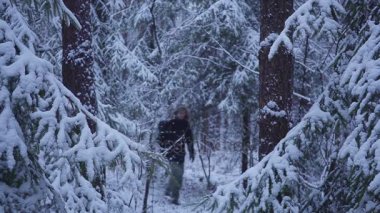 Kar kış orman seyahat sırt çantası ile yürüyen adam. kar orman bakar
