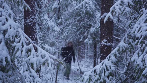 배낭 여행자 눈 겨울 숲을 산책 하는 남자. 눈 숲에서 보이는 — 비디오
