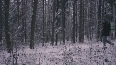 Adam yürüyen kar kış orman Gezgin ile sırt çantası akşam ya da sabah alacakaranlıkta.
