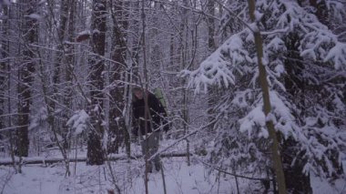 Adam yürüyen kar kış orman Gezgin ile sırt çantası akşam ya da sabah alacakaranlıkta.