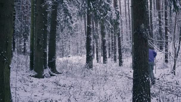 Człowiek szlak biegacz w zimowym lesie. Inspiracja i motywacja koncepcja na zewnątrz. — Wideo stockowe