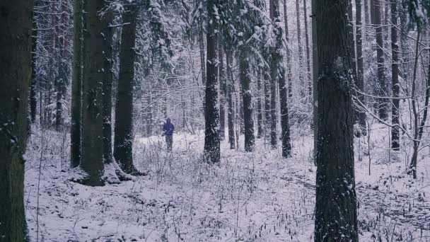 Бегущий по тропе человек в зимнем лесу. Концепция вдохновения и мотивации на открытом воздухе . — стоковое видео