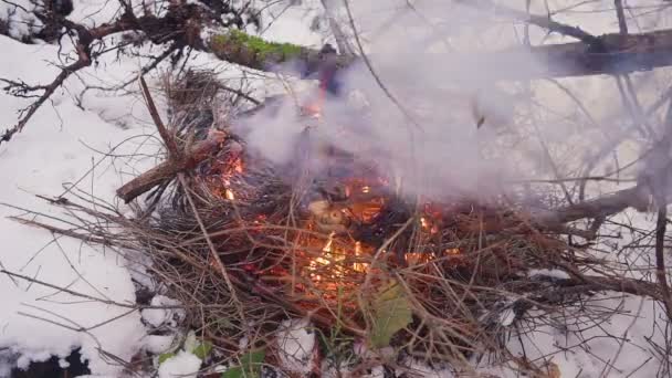 Lägerelden i den vintern skog och turist ryggsäck — Stockvideo