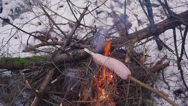 Frituurworsten op vreugdevuur in het winterbos — Stockvideo