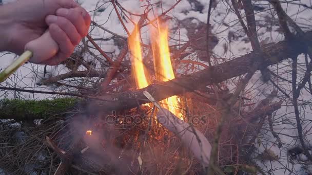 Salsichas de fritura na fogueira na floresta de inverno — Vídeo de Stock