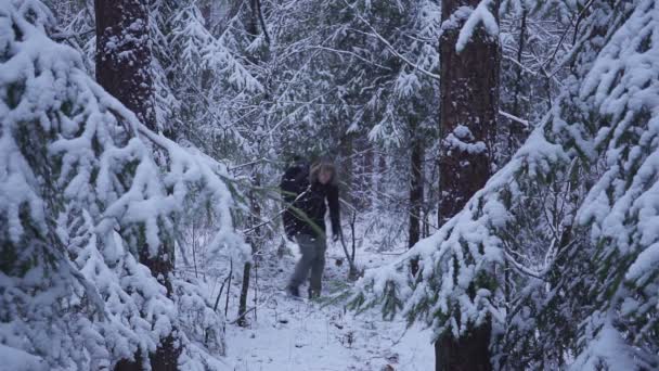 Kar kış orman seyahat sırt çantası ile yürüyen adam. kameraya elini sallayarak — Stok video