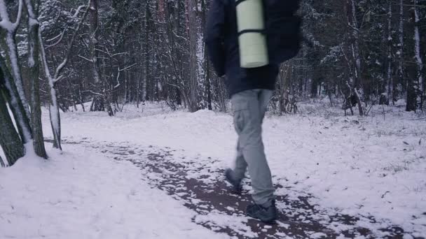 Ο άνθρωπος περπάτημα χιόνι Χειμώνας δάσος ταξιδιώτη με σακίδιο το βράδυ ή το πρωί, το σούρουπο. — Αρχείο Βίντεο