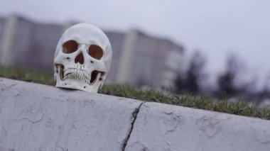 Kafatası yolun yakınında. Kazalar cinayet yollarda dikkat tehlike