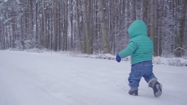 Cheerful one year boy in the winter forest road. created with gimbal — Stock Video