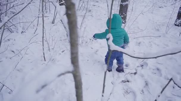 Vrolijke eenjarige jongen in het bos van de winter. gemaakt met gimbal — Stockvideo