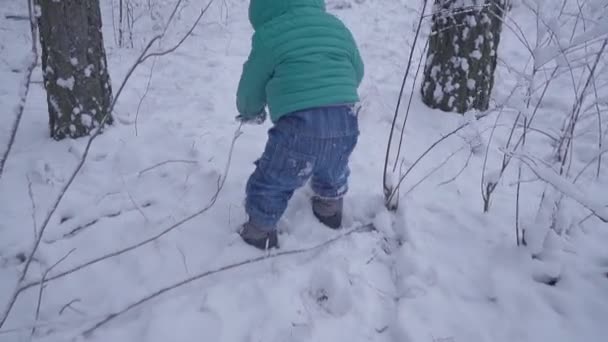 Vrolijke eenjarige jongen in het bos van de winter. gemaakt met gimbal — Stockvideo
