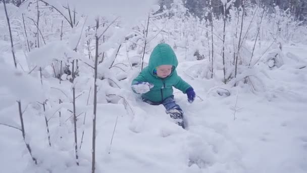 Веселый однолетний мальчик в зимнем лесу. созданная с помощью имбала — стоковое видео