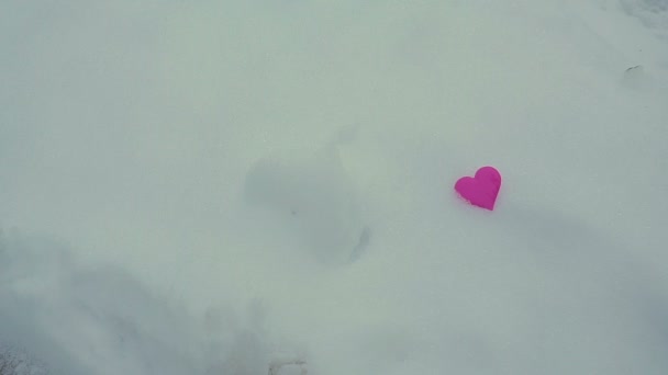 CORAZÓN EN SNOW. Día de San Valentín — Vídeos de Stock