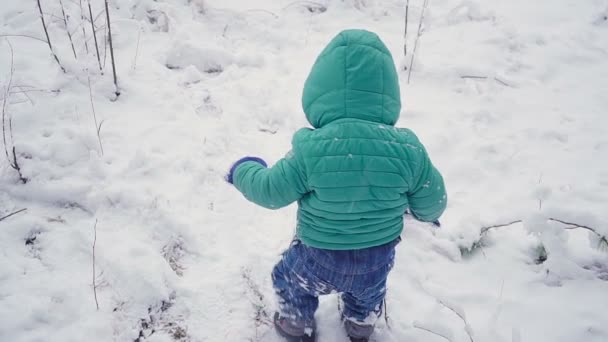 Glada ett år pojke i skogen vinter. skapad med gimbal — Stockvideo