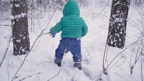 Alegre menino de um ano na floresta de inverno. criado com gimbal — Vídeo de Stock