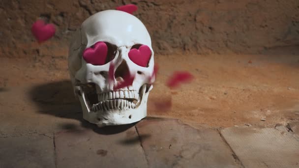 Human skull with red heart . Hearts fall on the skull slow motion. Concept for Valentines Day. AIDS — Stock Video