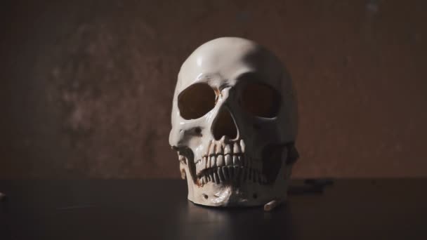 Skull and the falling cigarettes slow motion — Stock Video