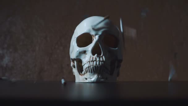 Skull and the falling cigarettes slow motion — Stock Video
