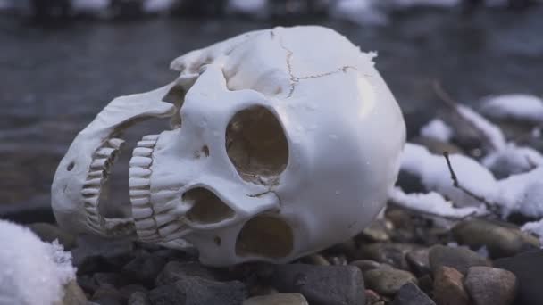 Totenkopf aus nächster Nähe im Fluss. das Konzept des Todes auf dem Wasser — Stockvideo