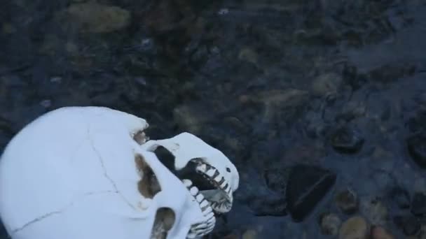 Totenkopf aus nächster Nähe im Fluss. das Konzept des Todes auf dem Wasser — Stockvideo