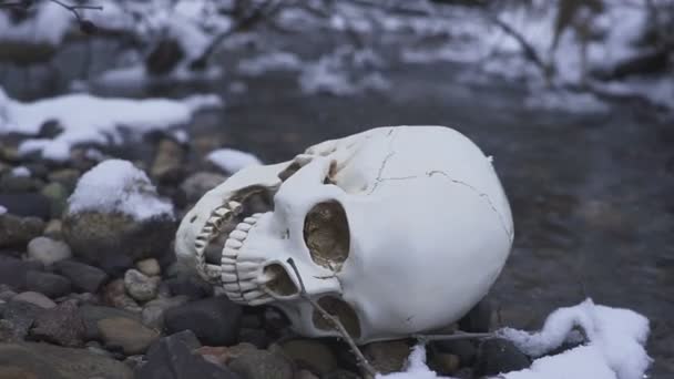 Totenkopf aus nächster Nähe im Fluss. das Konzept des Todes auf dem Wasser — Stockvideo