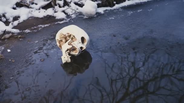 Totenkopf aus nächster Nähe im Fluss. das Konzept des Todes auf dem Wasser — Stockvideo