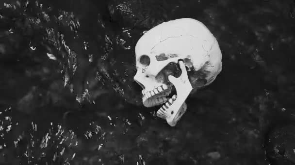 Close Up schedel in rivier. Het concept van de dood op het water — Stockvideo