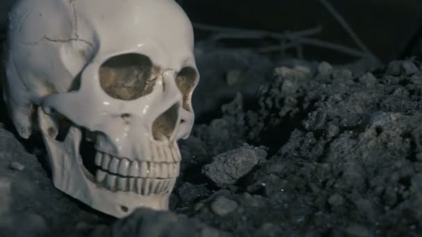 Close Up Skull en el río bajo el puente. El concepto de muerte en el agua . — Vídeos de Stock