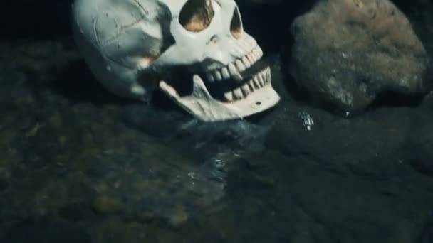 Close Up Skull en el río bajo el puente. El concepto de muerte en el agua . — Vídeos de Stock