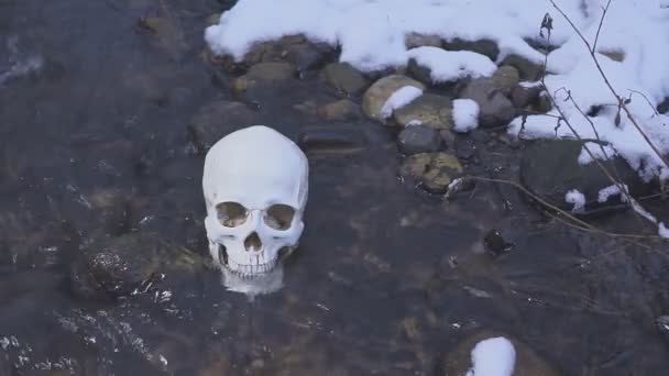 Totenkopf aus nächster Nähe im Fluss. das Konzept des Todes auf dem Wasser — Stockvideo