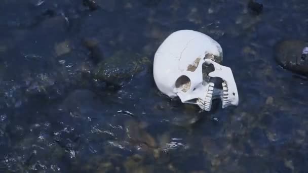 Закрыть череп в реке. Концепция смерти на воде — стоковое видео