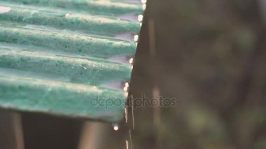 kış sonu. Güneşli bir günde çatıdan meltwater damlar.