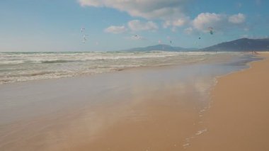 birçok sporcu kitesurfing okyanus plaj. Ağır çekim