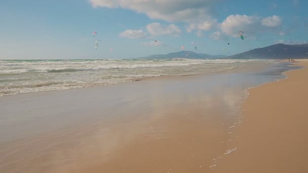 Muitos atletas kitesurf na praia do oceano. Movimento lento — Vídeo de Stock