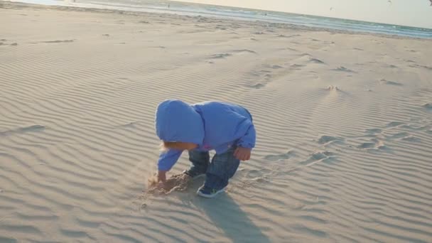 Bebé con muchos atletas kitesurf en la playa del mar. Movimiento lento — Vídeos de Stock