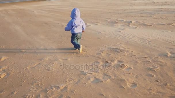 Bébé avec de nombreux athlètes kitesurf sur la plage de la mer. Mouvement lent — Video