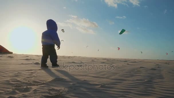 Bébé avec de nombreux athlètes kitesurf sur la plage de la mer. Mouvement lent — Video