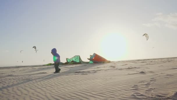 Bébé avec de nombreux athlètes kitesurf sur la plage de la mer. Mouvement lent — Video